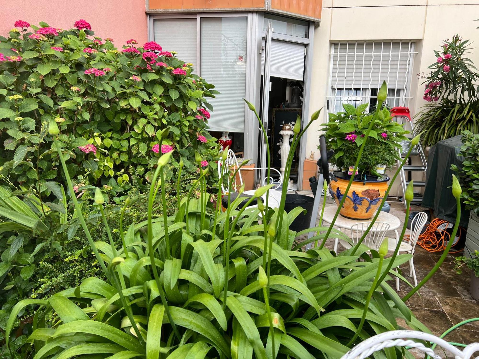 Apparemment Blagnac Proche Tram Apartment Exterior photo